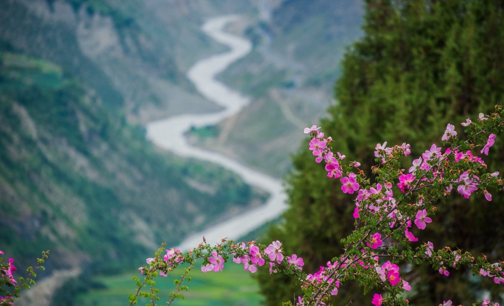 5 Hidden Gems in India You Should Visit Before They Get Famous