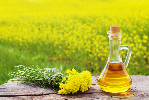 Fresh UP Mustard Oil